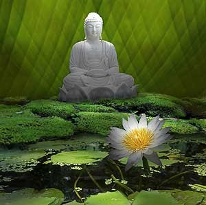 buddha-en-un-estanque-de-lotos